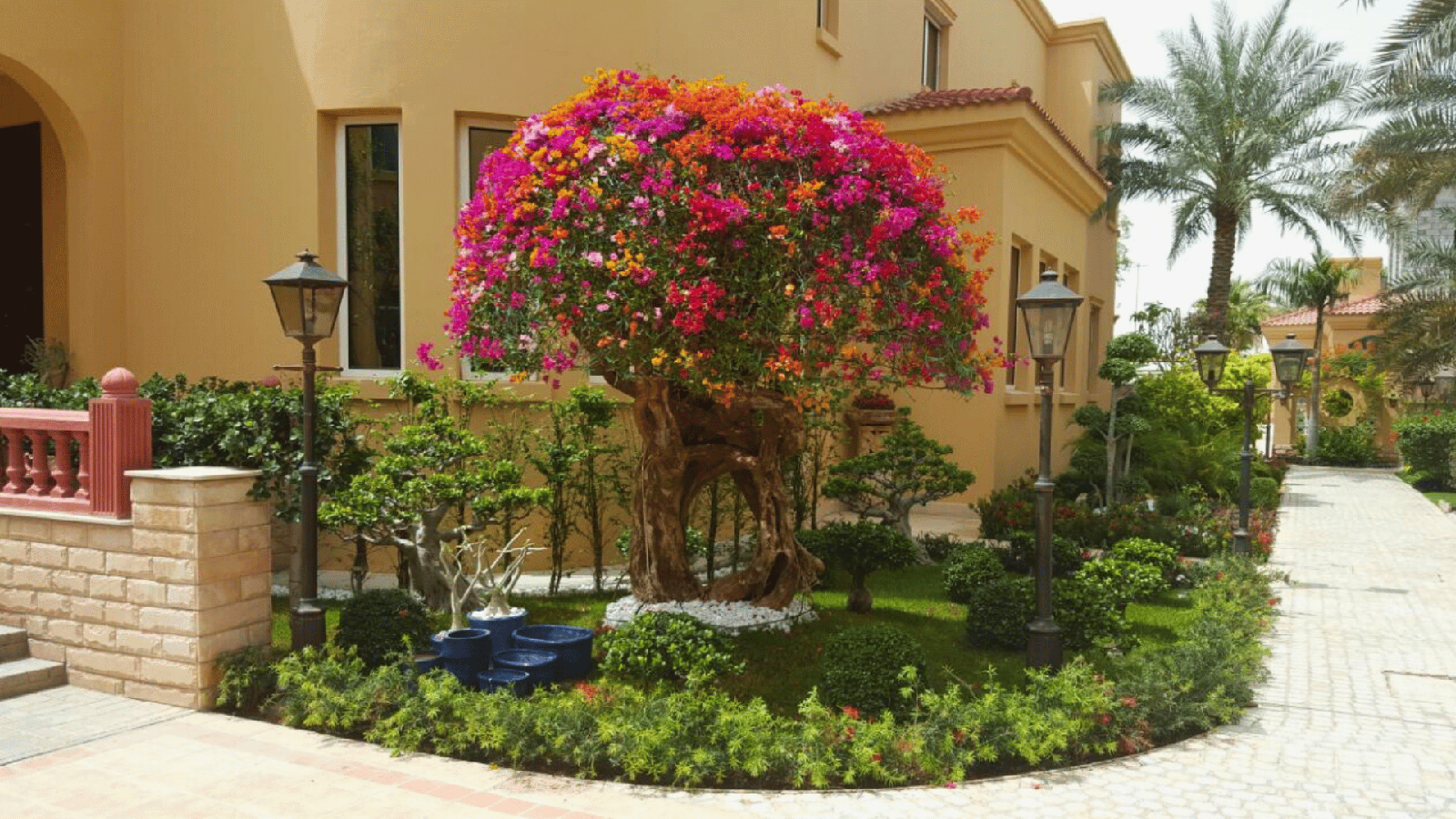 Plants and nursery stock for regional landscaping projects